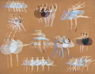 Movimentos graciosos de ballet