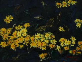 Brilho do jardim nocturno