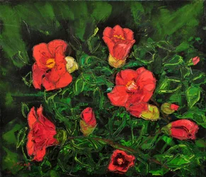 Flores vermelhas vibrantes