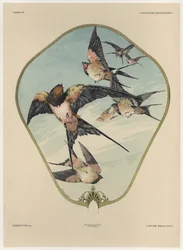 Ventilador, Prato 30 de &39;Fantasias Decorativas&39;, gravado por Gillot, publicado por Jules Rouam, Librairie de l&39;Art, Paris, 1887 (gravura colorida)