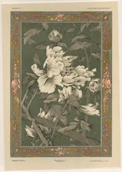 Flores, prato 31 de &39;Fantasias Decorativas&39;, gravado por Gillot, publicado por Jules Rouam, Livraria de Arte, Paris, 1887 (gravura a cor)
