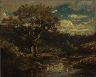 Holandês: Forest View Forest View