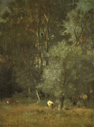 Vista na floresta