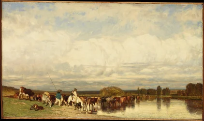 Vacas a atravessar um vau