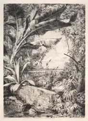 Plantas da estufa, 1872.