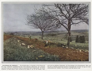 Alturas de Corfelix