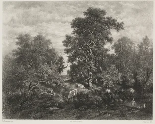 A lagoa, segundo Théodore Rousseau (1812-67)