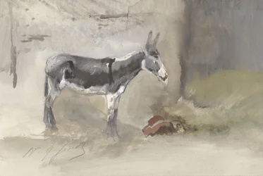 Burro num estábulo