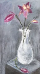 Elegância vibrante