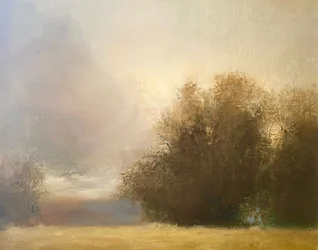 Paisagem dourada enevoada