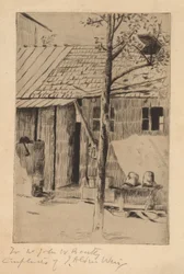 Quintal, baldes e árvore