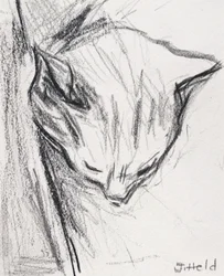 Gato dormindo, 2015, (lápis)