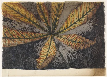 Folha de castanheiro