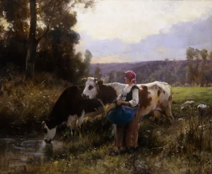 Vacas no bebedouro