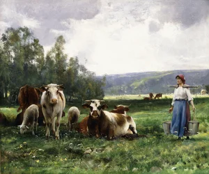 A pastagem das vacas