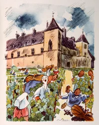 Vinhedo Francês. 1944. Ilustração do Pavilhão Julien