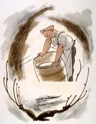 Ilustração Humorosa do Vinho 1946.Ilustração do Pavilhão de Julien