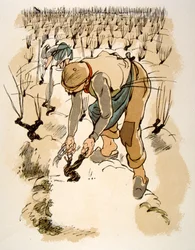 Ilustração Humorosa do Vinho 1946.Ilustração do Pavilhão de Julien