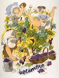 Ilustração Humorosa do Vinho 1946.Ilustração do Pavilhão de Julien
