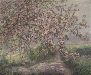 Uma macieira em flor (óleo sobre tela)