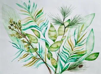 Folhas verdes variadas