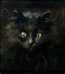 Retrato de um gato