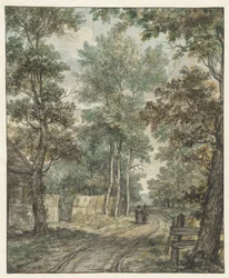 Caminhantes em uma estrada florestal perto de Heemstede
