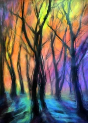 Luzes da Floresta Encantada