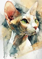 Gato Sphynx de olhos verdes