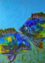 Peixes tropicais vibrantes