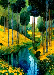 Riacho da Floresta das Flores Amarelas