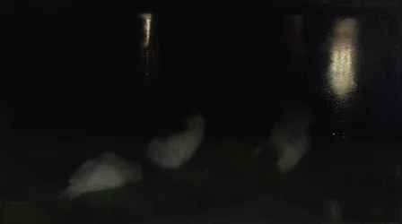Noturno. Cisnes no Jardim Saxão em Varsóvia à noite