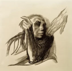 Käthe Kollwitz, Chamado da Morte