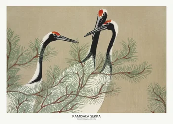 Gruas de Momoyogusa