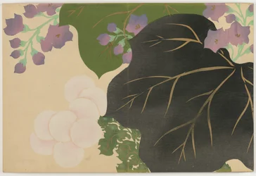 Flores de cem mundos (Momoyogusa): Crisântemo e Paulownia (Kikukiri)