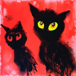 Olhos brilhantes de um gato preto