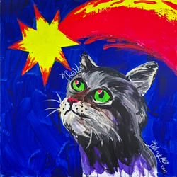 Gato e Cometa