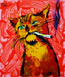 Gato fixe a fumar