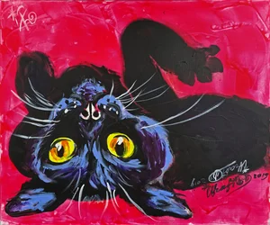 Gato preto curioso