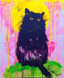 Gato preto místico