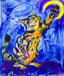 Gatinho Brincalhão Lua