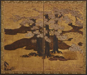 Cerejeiras em flor, período Edo, ca.1580-1635.