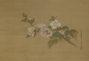 Um ramo de hibisco, Período Edo (cor de seda)