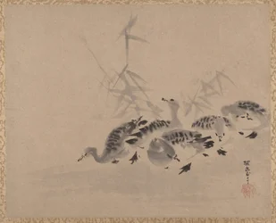 Patos e Juncos, c. 1650.