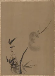 Esquilo em bambu, ca. 1650.