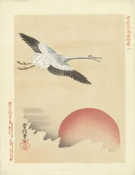 Guindaste voando na lua vermelha Esboços de flores e pássaros por Kano Tsunenobu (título da série) Kano Tsunenobu kacho gafu (título da série no objeto)