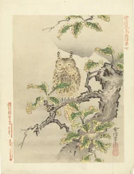 Coruja sobre ramo
Esboços de flores e aves de Kano Tsunenobu (título da série)
Kano Tsunenobu kacho gafu (título da série sobre o objecto)