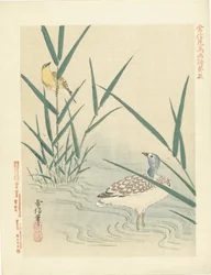 Ave aquática que observa pássaros amarelos
Esboços de flores e aves de Kano Tsunenobu (título da série)
Kano Tsunenobu kacho gafu (título da série sobre o objecto)