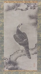 Hawk em um Pine Shoo zu, século XVI.