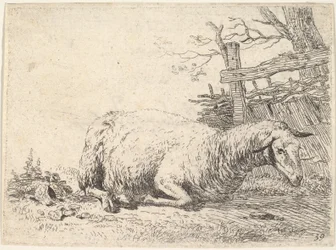 Uma ovelha deitada com as pernas dobradas sob o corpo, ao lado de uma cerca de madeira, ela ..., ca. 1655